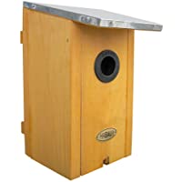 HABAU 2975 Caja de Nido con Techo de estaño Chapado en Zinc